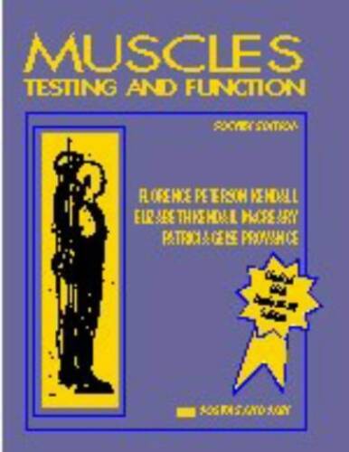 Muscles testing and - testing, function