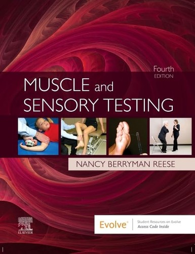 Muscle and sensory testing - muscle,