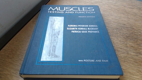 Muscles testing and - testing,